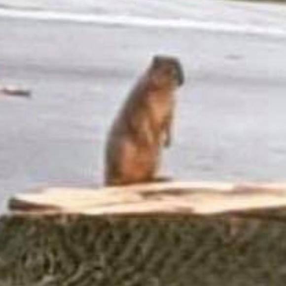 Meet your Posher, Aaron - Picture 1 of 1